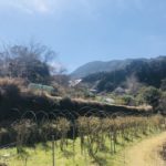 KqBXBTR5QMmNj3grYm9ylg_thumb_8410