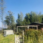 h4e2bOoXSAeVDF6II9UOag_thumb_840f