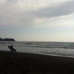 20130213-211314.jpg