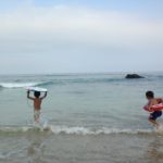 ルイボディボード