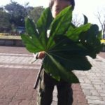20130310-004217.jpg
