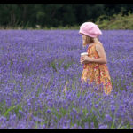 bughuntlavender