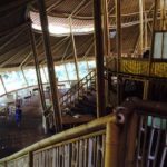 11855586_10206305562610830_480587494_n