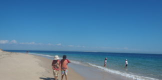 保護中: 本物を見分ける感性を小学生で養うと、6〜10年後のキャリアが圧倒的に優位に