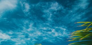 保護中: 【Junior英語コース】ホリディの過ごし方シークレットアイディア💡