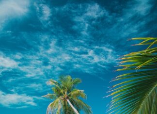 保護中: 【Junior英語VIPページ】英検準2級Voice